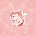 ORQUE_ROSE_1.webp